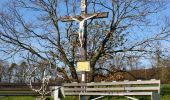 Tour Zu Fuß Bad Camberg - Rundwanderweg Schnepfe - Photo 2