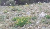 Randonnée Marche Leucate - mon sentier des pêcheurs  - Photo 6