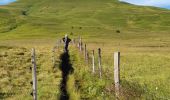 Excursión Senderismo Chambon-sur-Lac - RA2020 MC AR Puy de Sancy - Photo 8