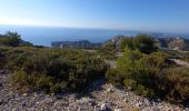 Tour Wandern Marseille - calanques de sugiton  - Photo 8