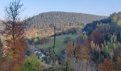 Trail Walking Wangenbourg-Engenthal - 2019-11-16 Marche Wangenbourg Castelberg - Photo 16