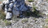 Trail Walking Gap - Le Huchon et pic de Charance - Photo 2