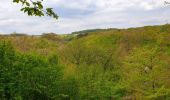 Excursión Senderismo Doische - De Gochenée à Vodelée par la vallée de l'Hermeton - Photo 12