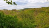 Tour Wandern Doische - De Gochenée à Vodelée par la vallée de l'Hermeton - Photo 12