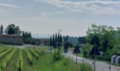 Tour Wandern San Gimignano - CR_Francigena_DC_39_San-Gimignano_Colle-Di-Val-D-Elsa_20230521 - Photo 8