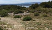 Tour Mountainbike Gruissan - Gruissan - St Martin - Photo 1