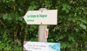Tour Wandern Laveissière - les gorges de l'alagnon  - Photo 5