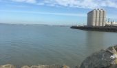 Trail Walking La Rochelle - Port de Pêche  - Photo 2