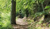 Tocht Stappen Annecy - 260523 Monr Veyrier - Photo 1