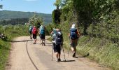 Trail  Le Puy-en-Velay - Saint-Jacques, 2024 jour un - Photo 3