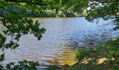 Tocht Stappen Glomel - Tour de l'etang du Corong depuis Mézouët - Photo 17