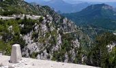 Percorso A piedi Ledro - Sentér del Prà della Rosa - Photo 1