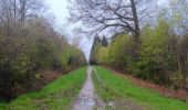 Randonnée Marche Spa - de la Sauveniere à la Reine, autour de Malchamps  - Photo 10