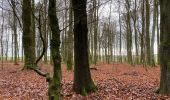 Tour Wandern Bastnach - Bastogne 20,3 km - Photo 3