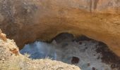 Randonnée Marche Anse-Bertrand - La Porte d'Enfer - Photo 3