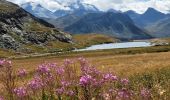 Randonnée Marche Tignes - approche glacière de la cime de la Golette - Photo 2