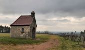 Tour Wandern Uffholz - 2023 02 23 Uffholz - Wattviller - Photo 3