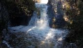 Trail Walking Aureille - Aureille Caisse de Jean-Jean - Photo 3