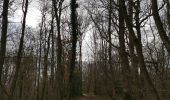 Randonnée Marche Envermeu - Le bucq bois de Pimont breuilly bellengreville envermeu - Photo 4
