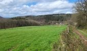 Randonnée Marche Manhay - Deux Rys 120423 - Photo 2