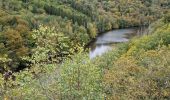 Randonnée Marche Houffalize - TOUR LAC DE NISRAMONT - Photo 8