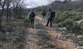 Trail Walking Mazaugues - Plateau d'Agnis, au dessus de Mazaugues - Photo 4