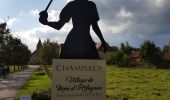 Tour Wandern Champlecy - champlecy - Photo 2