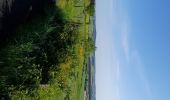 Trail Walking Saugues - live Saugues - Lajo - Photo 1