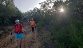 Trail Walking Roquebrune-sur-Argens - Les Petites Maures - Photo 8