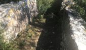 Randonnée A pied Fontvieille - Les moulins et l'aqueduc romain - Photo 2