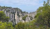 Trail Walking Cassis - Calanques de Port Miou, Port Pin et d'En Vau - Photo 8
