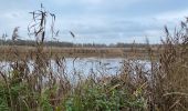 Tocht Stappen Hasselt - Herkenrode 21,6 km - Photo 4