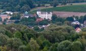 Tour Zu Fuß Schengen - Autoped Bech-Kleinmacher - Photo 2