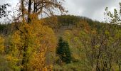 Trail Walking Lierneux - Lierneux - Photo 9