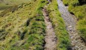 Trail Walking Naters - De Belalp à Nessel par le bisse de Nessjeri - Photo 10