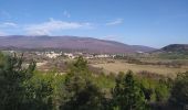 Excursión Ruta Châteauneuf-Val-Saint-Donat - La Voie Romaine - Photo 8