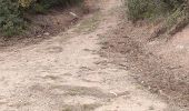 Tocht Stappen Les Arcs-sur-Argens - font du loup vers taradeau les arcs - Photo 13