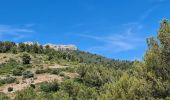 Randonnée Marche Évenos - Toulon Col du corps de garde Mont Caume - Photo 9