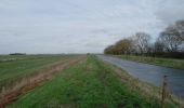 Tocht Te voet South Holland - Willow Tree Fen Blue intermediate route - Photo 3