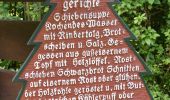 Randonnée A pied Clausthal-Zellerfeld - HK 8: Osterode - Clausthal-Zellerfeld - Goslar - Photo 3