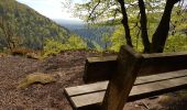 Trail Walking Saverne - Saverne : rocher Rappenfels - grotte St Vit - château Greifenstein - Photo 6