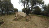 Excursión Senderismo Roquebrune-sur-Argens - Les Issambres : Draille des roches - Dolmen - Photo 1