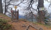 Trail Walking Risoul - plan de phazy par la forêt de risoul en boucle - Photo 3