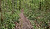 Percorso Marcia Thuin - Aulne dans les bois - Photo 12