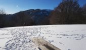 Randonnée Marche Sewen - Lac d'Alfed et sa cascade - tour au pied du Ballon d'Alsace - Photo 15