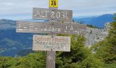 Tocht Stappen Magland - belvédère d Aulp - Photo 3