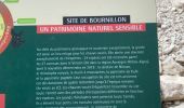 Randonnée Marche Châtelus - Cirque du Bournillon - Photo 8