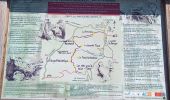 Tour Wandern Le Rozier - Causse et gorges au pays des vautours  - Photo 14