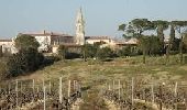 Tocht Noords wandelen Florentin - Sentier des colombes Florentin - Photo 3