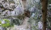 Randonnée Marche Monieux - Gorges de la Nesque - Photo 10